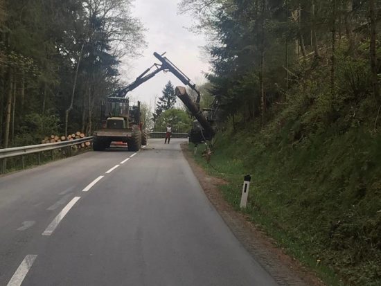 Forstarbeiten Forstarbeiten