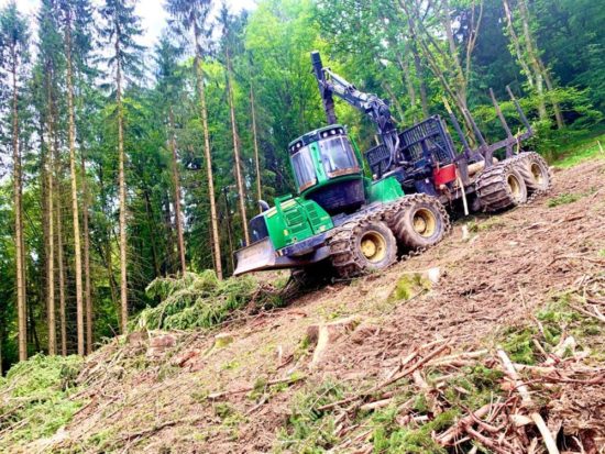 Forstservice Forstservice - MAURER Holzschlägerungen Bringung Waldkirchen